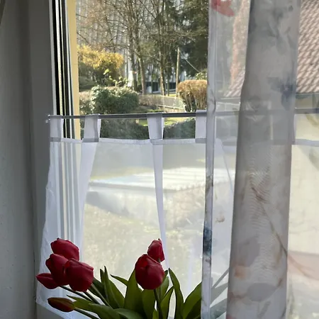 Apartman Adagio-linz Pöstlingberg *