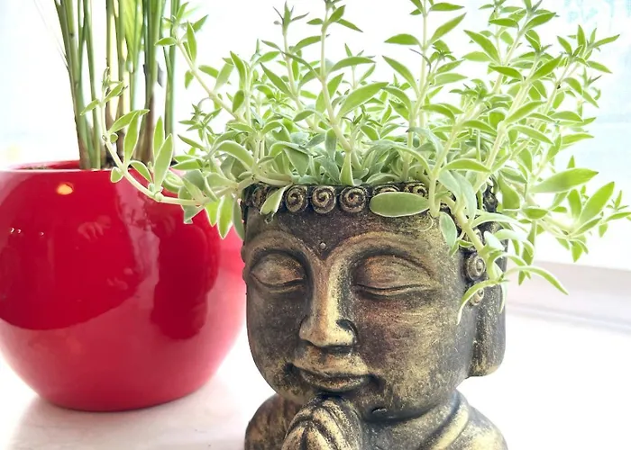 Adagio-linz Poestlingberg